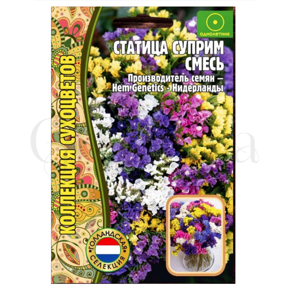 Статица Суприм смесь РЕДКИЕ СЕМЕНА