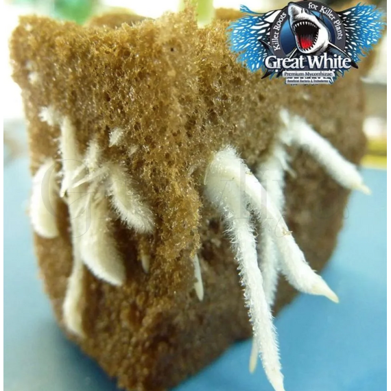 Great White Premium Mycorrhizae Plant микориза для корней 28,3 г