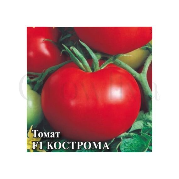 Томат Кострома F1 10 шт Гавриш