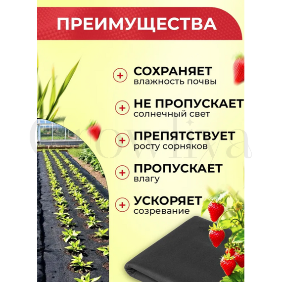 Спанбонд Геотекстиль СУФ 60 г/м (1,6м*100м) черный