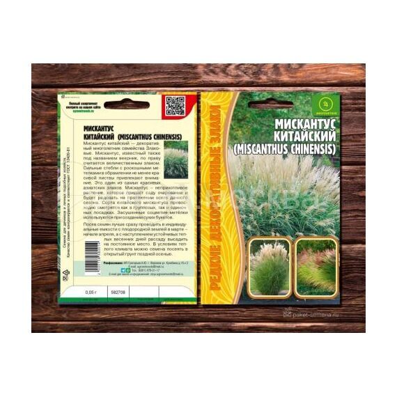 Мискантус китайский 10 шт РЕДКИЕ СЕМЕНА