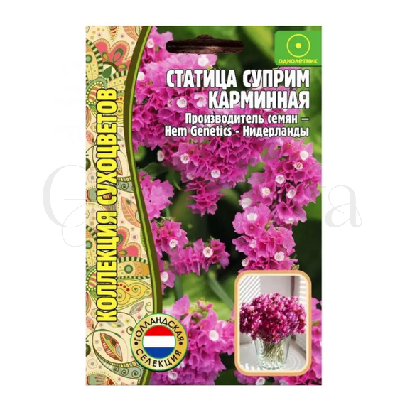 Статица Суприм Карминная  РЕДКИЕ СЕМЕНА