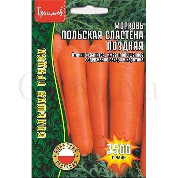 Морковь Польская Сластена поздняя 3500 шт РЕДКИЕ СЕМЕНА