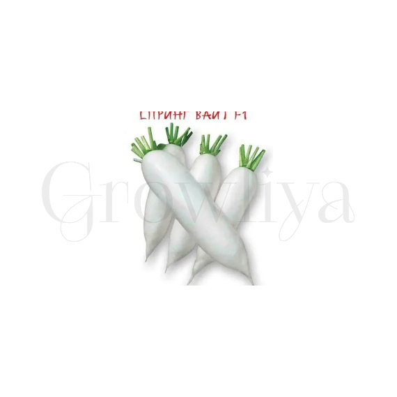 Дайкон Спринг Вайт F1 10 шт