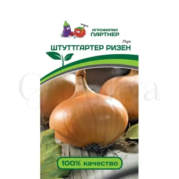 Лук репчатый Штутгартер Ризен РЕДКИЕ СЕМЕНА