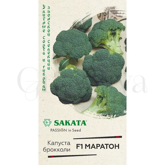 Брокколи Маратон F1