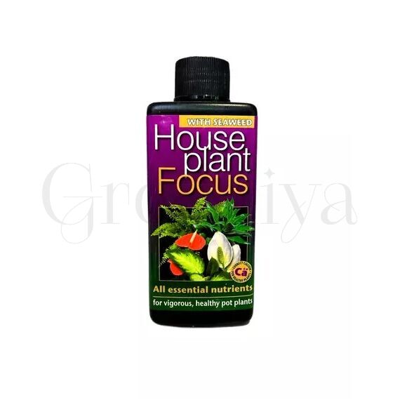 GT House plant Focus для комнатных растений 100 мл