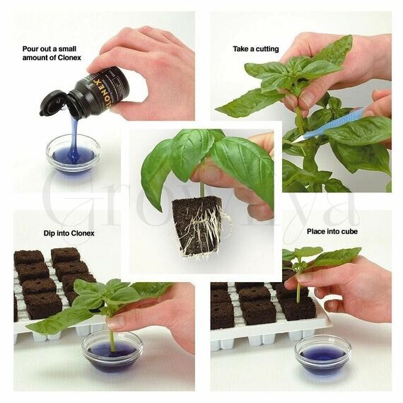 GT Clonex Клонекс гель для клонирования растений 5 мл (фасовка)