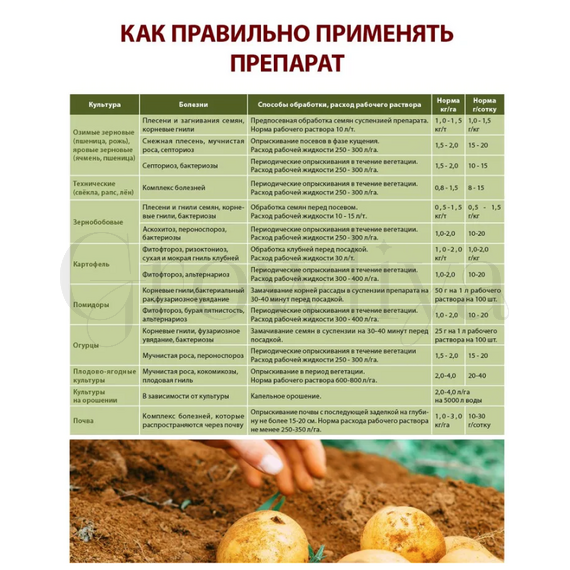 Фитодок BS26 X5 Биологический фунгицид усиленный 1 кг