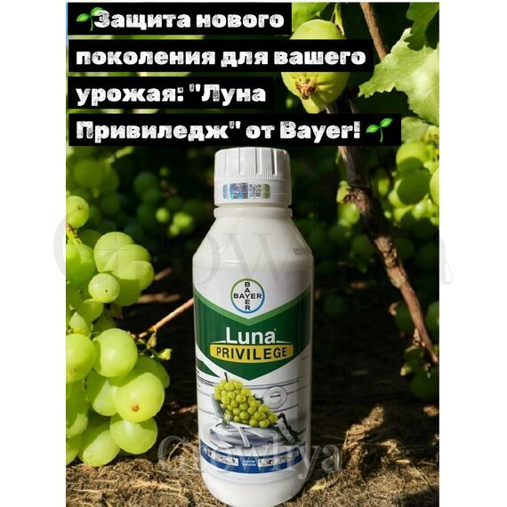 Луна Привиледж 50 мл (фасовка)