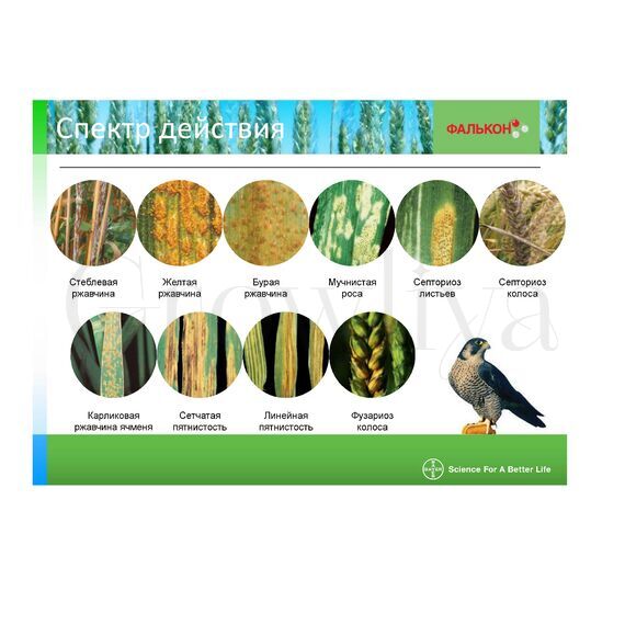 Фалькон Трёхкомпонентный системный фунгицид 500мл (фасовка)