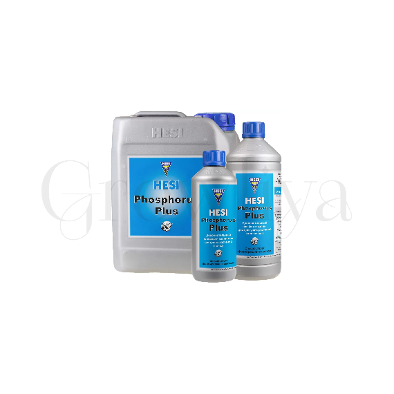 Hesi Phosphorus Plus 1 л