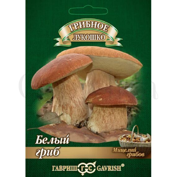 Белый Гриб Дубовый на зерновом  субстрате 15 мл