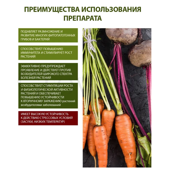 Фитодок BS26 X5 Биологический фунгицид усиленный 1 кг