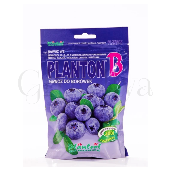 PLANTON B Голубика растворимое 200 г