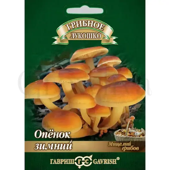 Опенок Зимний на древесной палочке 12 шт