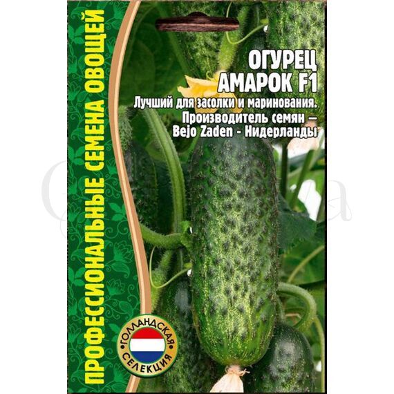 Огурец Амарок F1  7 шт РЕДКИЕ СЕМЕНА
