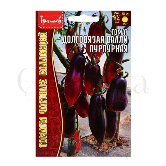 Томат Долговязая Салли пурпурная ГР