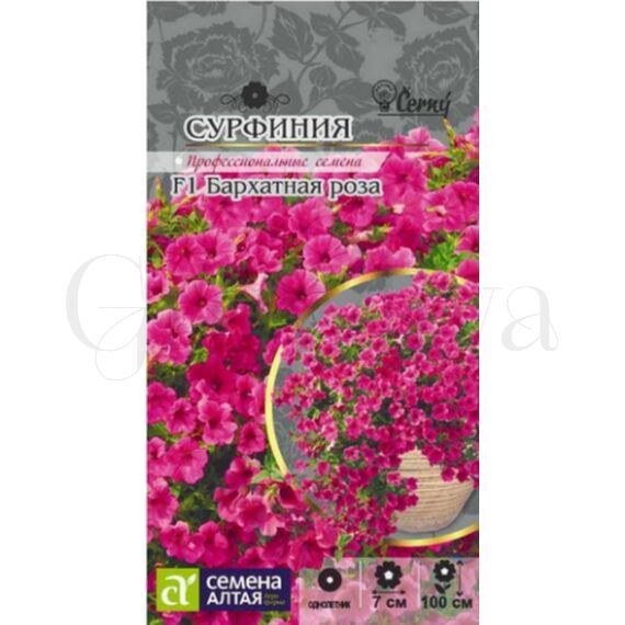 Петуния ампельная сурфиния Бархатная роза F1  5 шт