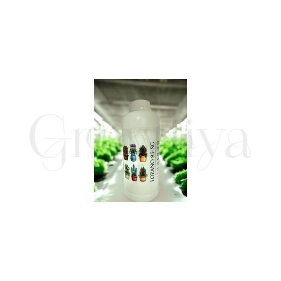 ЛОЗАНО 85 SG ретардант 5 г (фасовка)