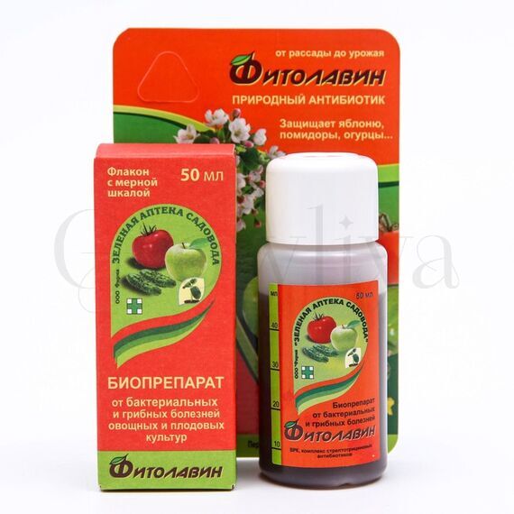 Фитолавин 50 мл