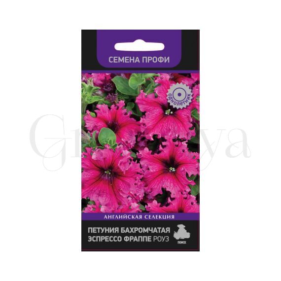Петуния бахромчатая Эспрессо Фраппе Роуз 10 шт ПОИСК