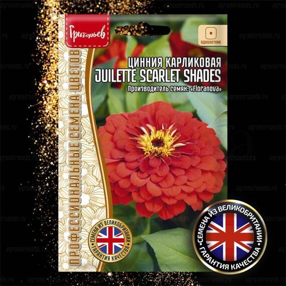 Цинния  Джульетта Скарлет Шейдс