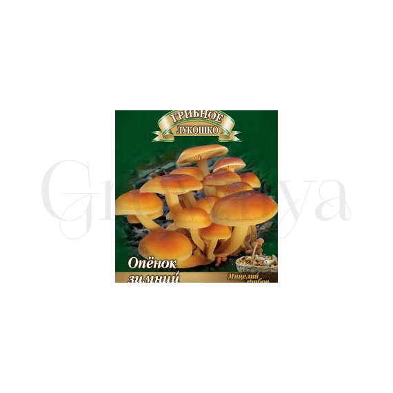 Опенок Зимний на древесной палочке 12 шт