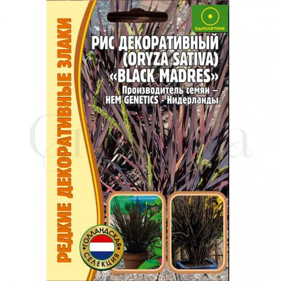 Рис декоративный 0,1 г РЕДКИЕ СЕМЕНА