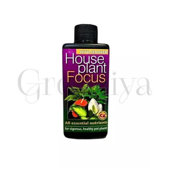 GT Houseplant Focus Drip Feeders для комнатных растений 38 мл