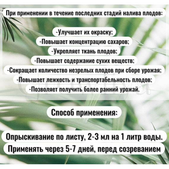 Свит усилитель вкуса и запаха 500 мл (фасовка)