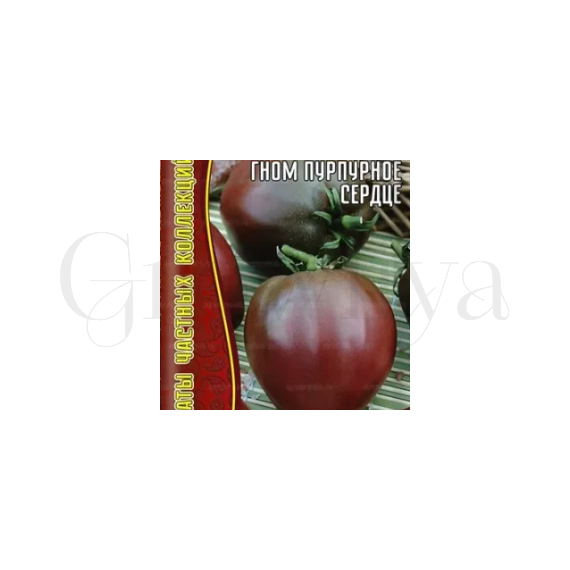 Томат Гном пурпурное сердце ГР