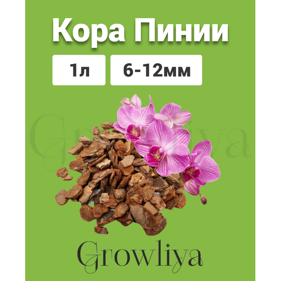 Кора Пинии Португальской аналог Орхиаты 6-12 мм 1 л