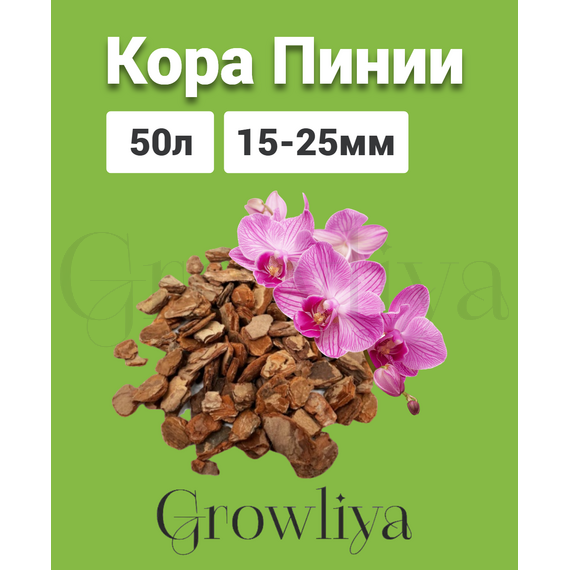 Кора Пинии Португальской аналог Орхиаты 15-25 мм 50 л