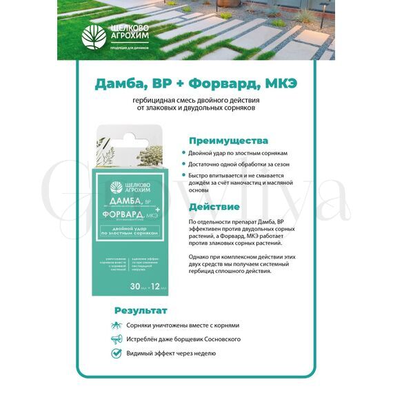 Дамба 30 мл + Форвард 12 мл