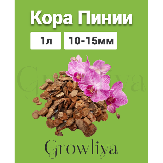 Кора Пинии Португальской аналог Орхиаты 10-15 мм 1 л