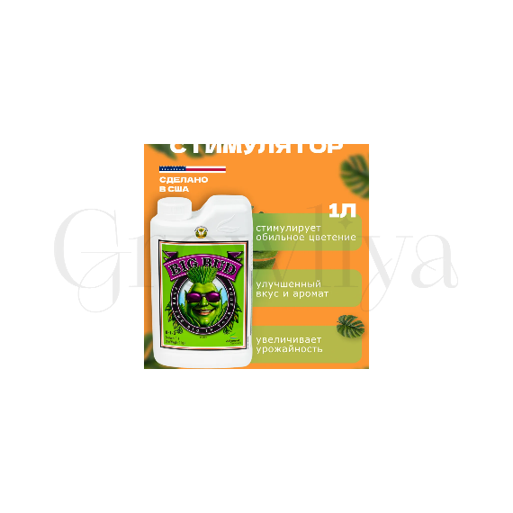 Advanced Nutrients Big Bud Liquid стимулятор образования соцветий 1 л