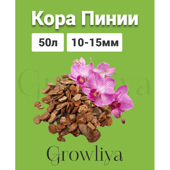 Кора Пинии Португальской аналог Орхиаты 10-15 мм 50 л